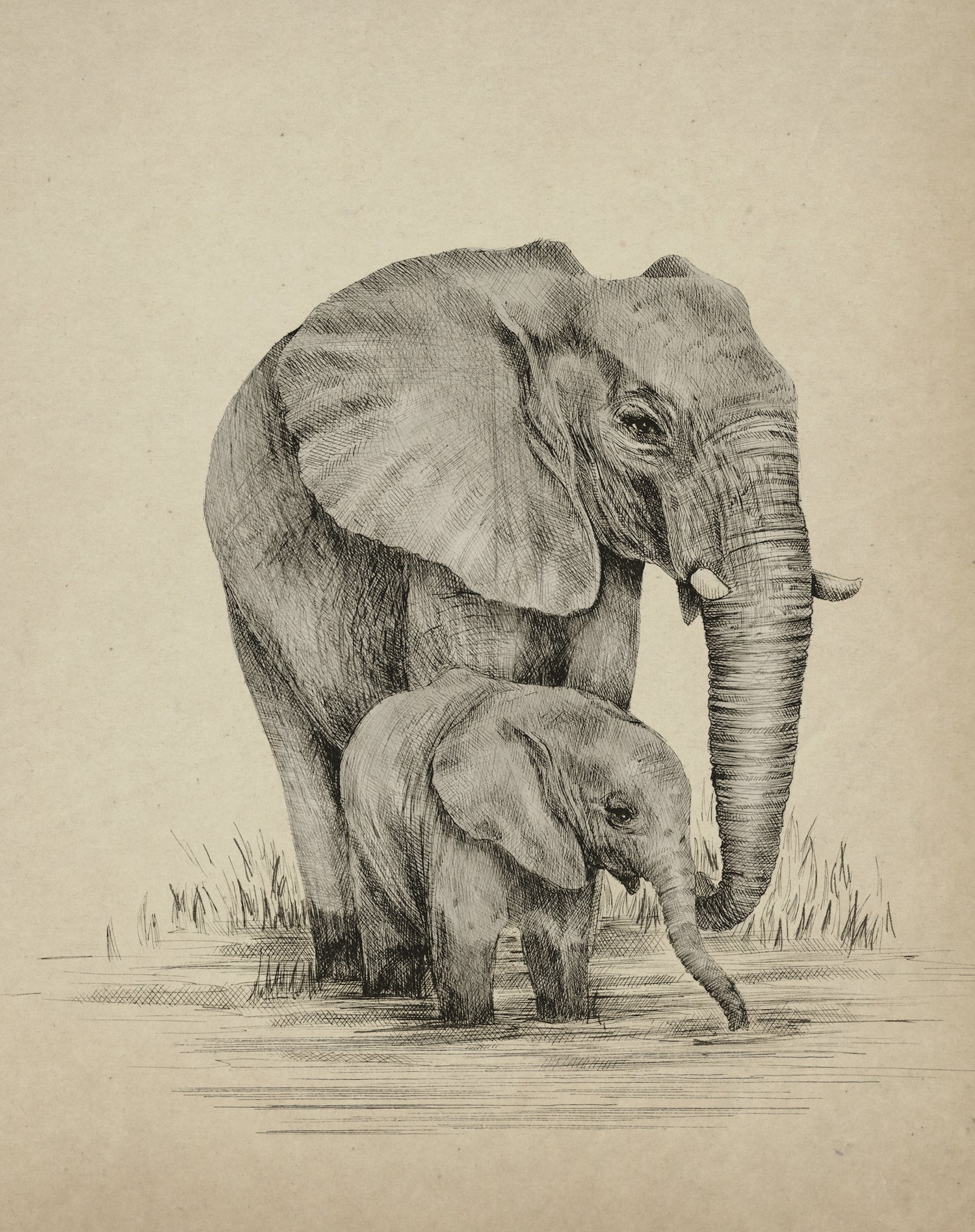 ESTHER & NIKO THE ELEPHANTS Fine art print