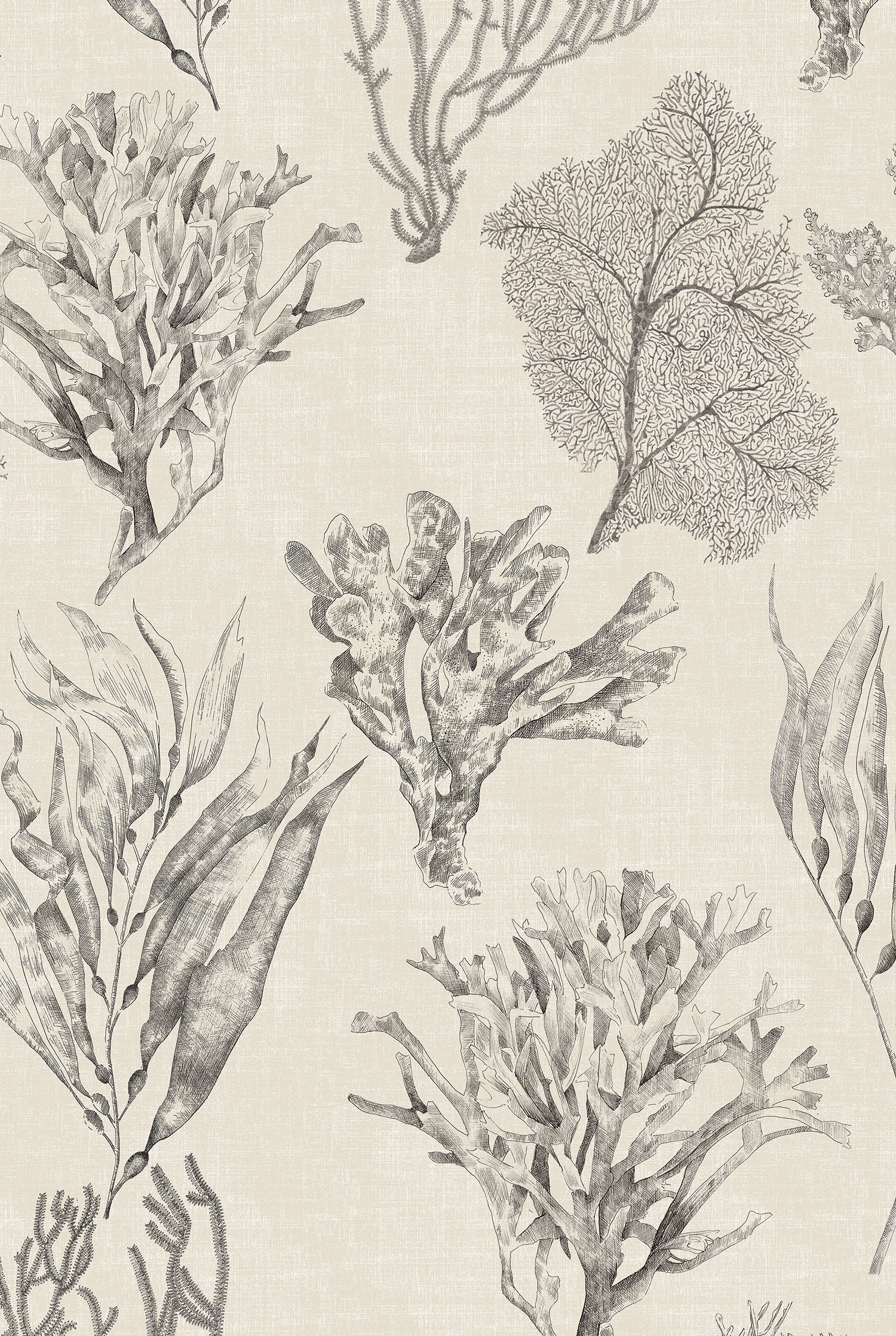 XV KELP FOREST Parchment Wallpaper