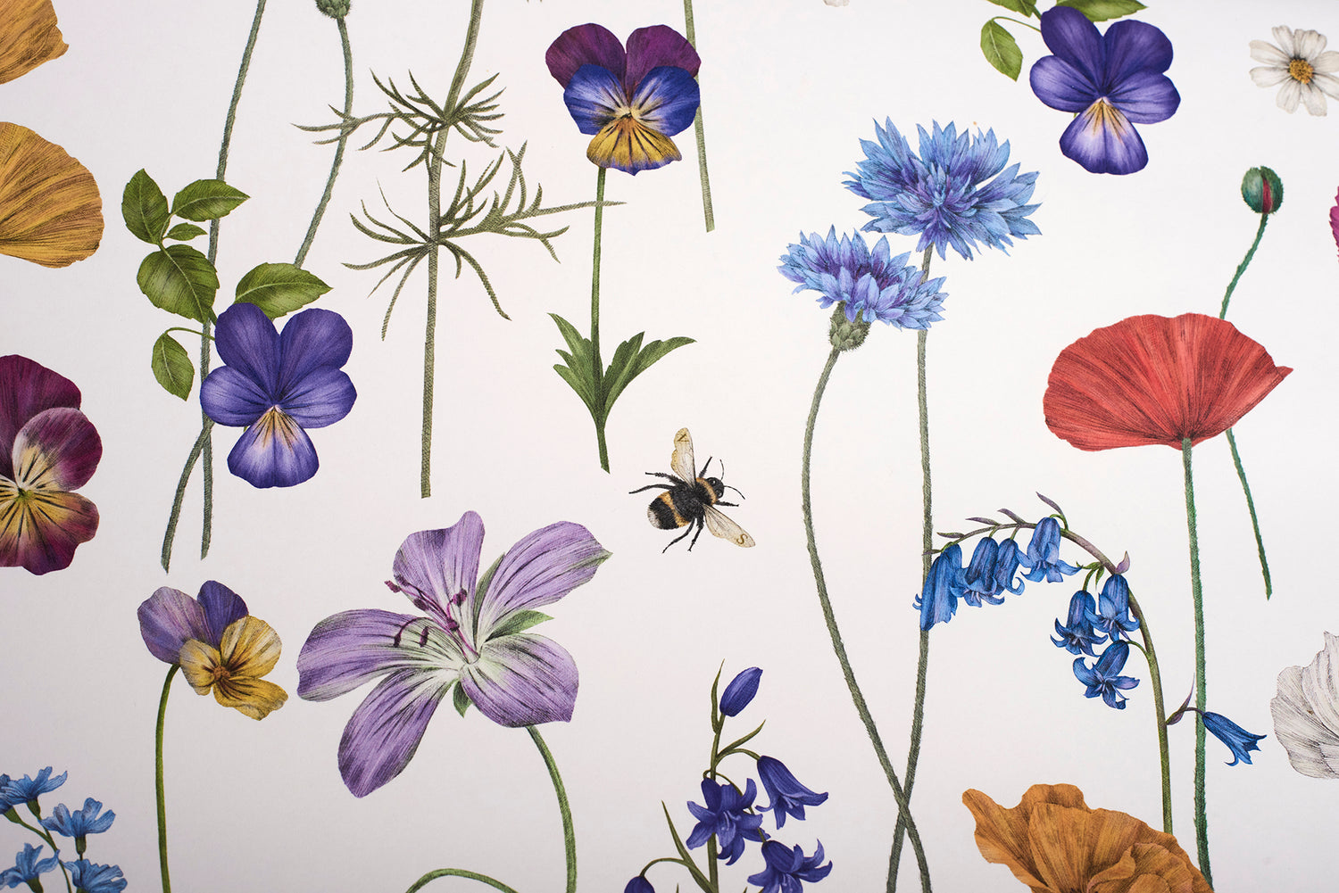 BOTANICA Chalk Wallpaper