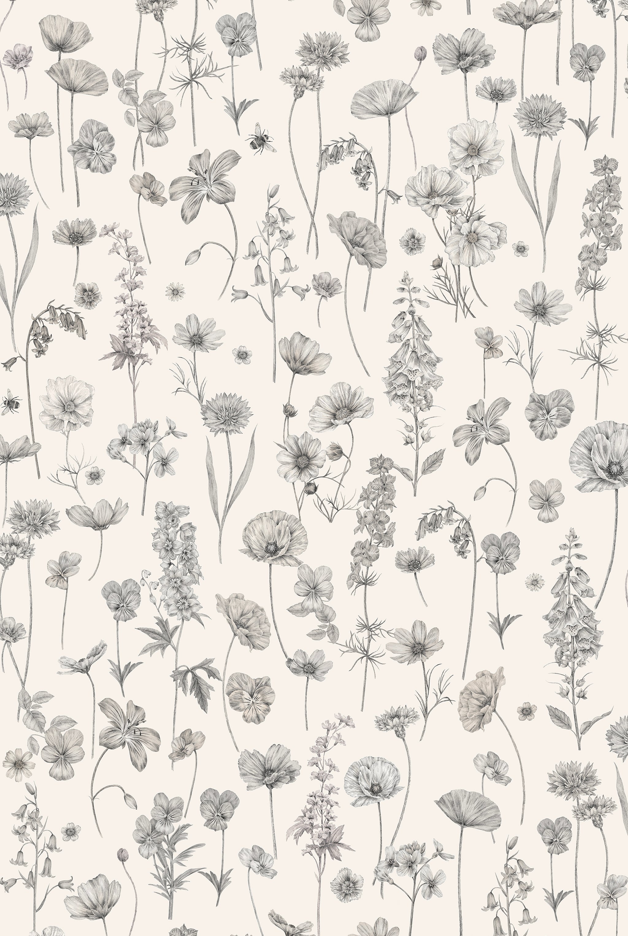 Fondo de pantalla de pergamino Botanica