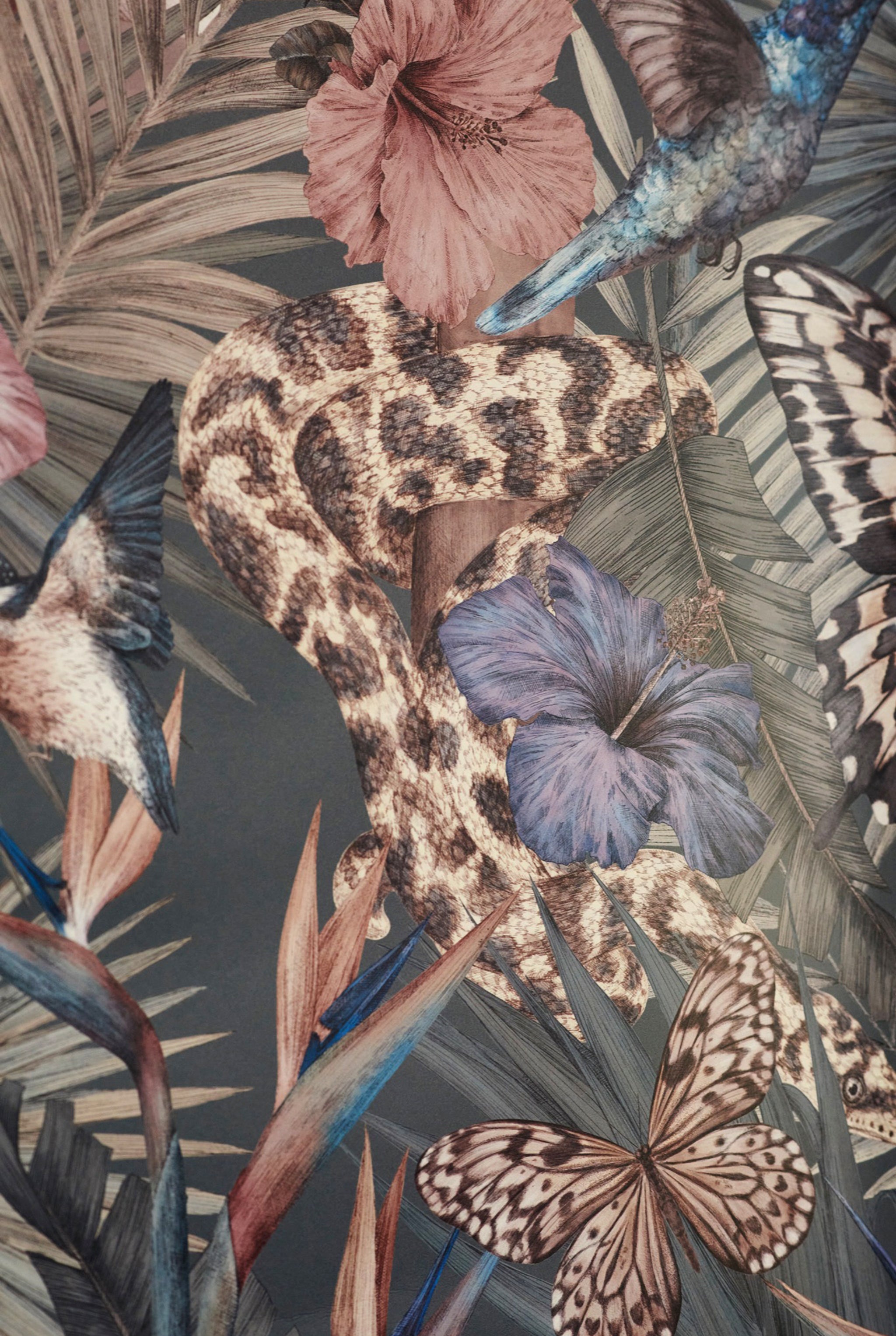 EXOTICA Dusky Petrol Wallpaper