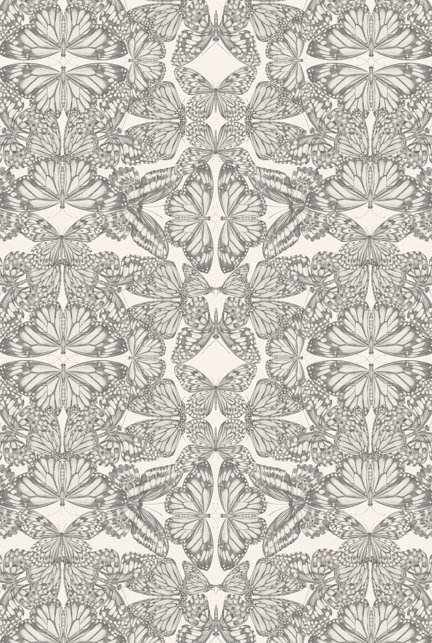 PAPILIO Parchment Wallpaper