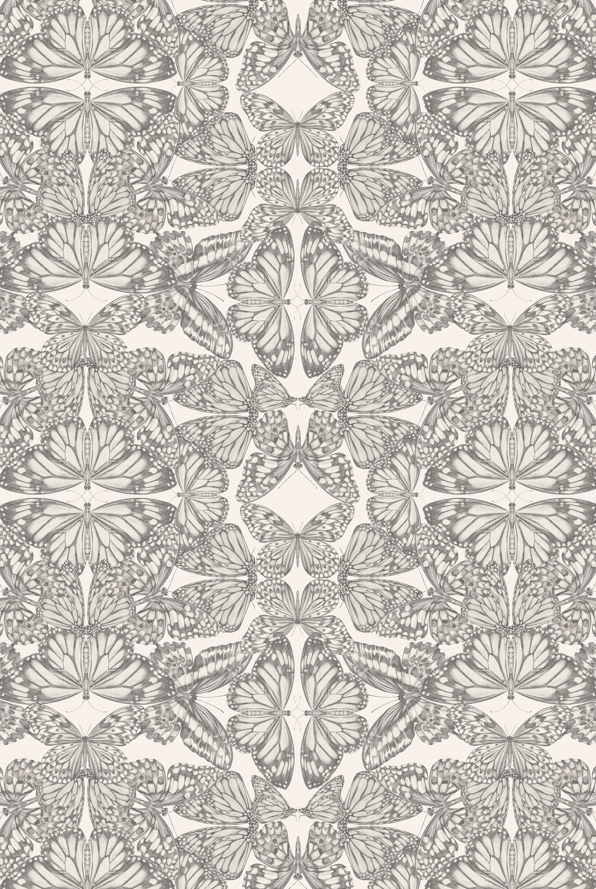 Fondo de Pantalla de Pergamino Papilio