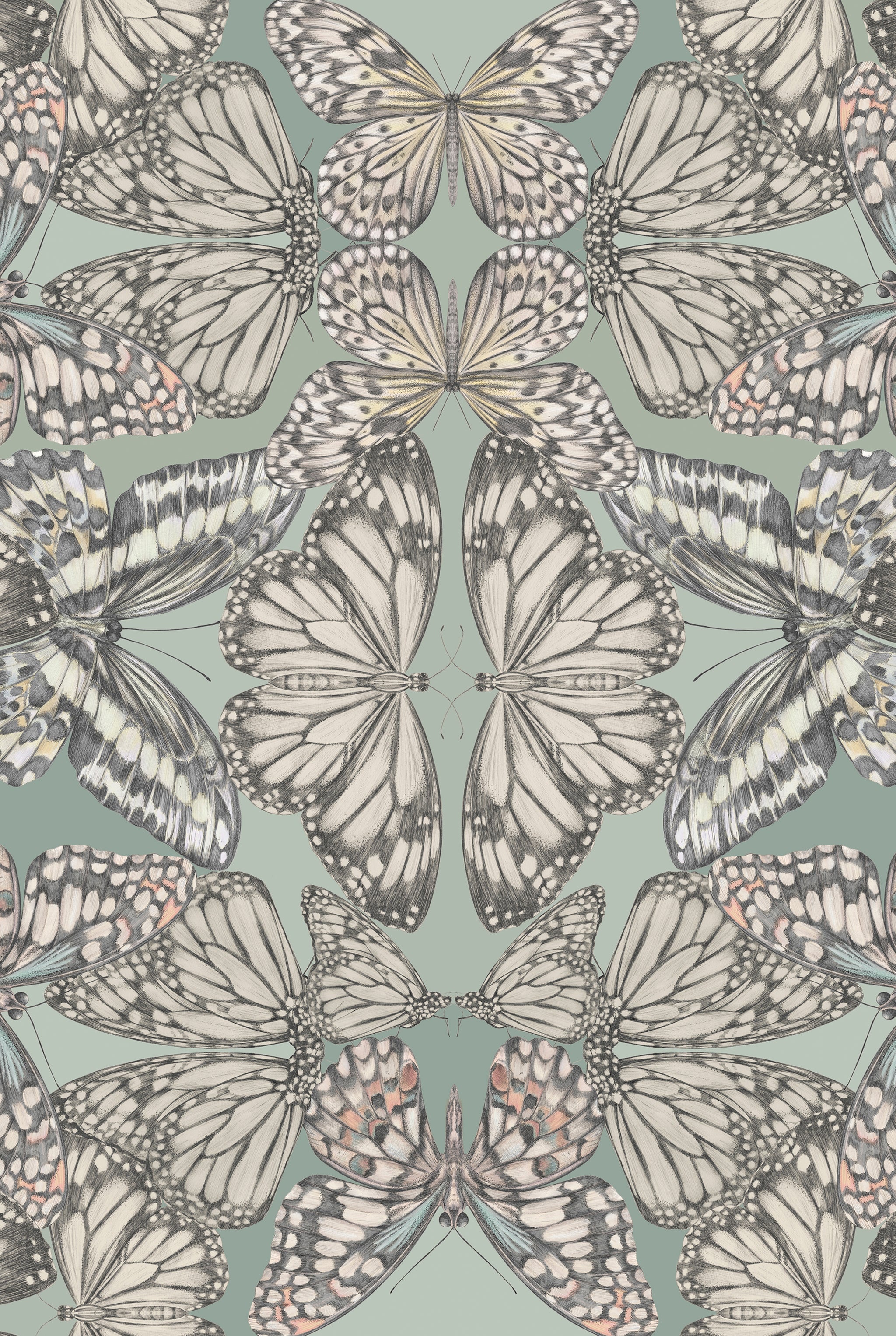 PAPILIO Eau De Nil Wallpaper