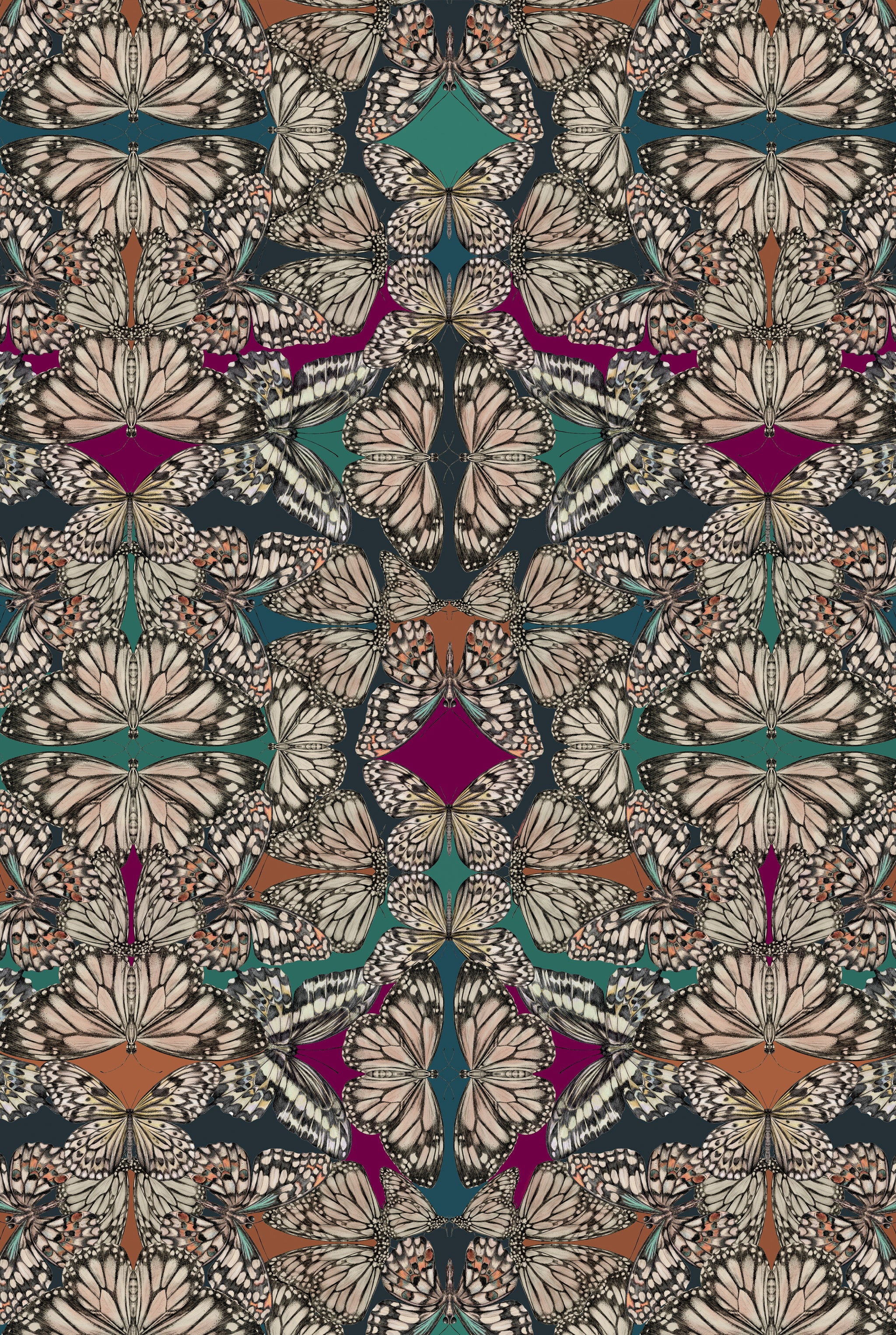 Papel pintado de la joya de Papilio