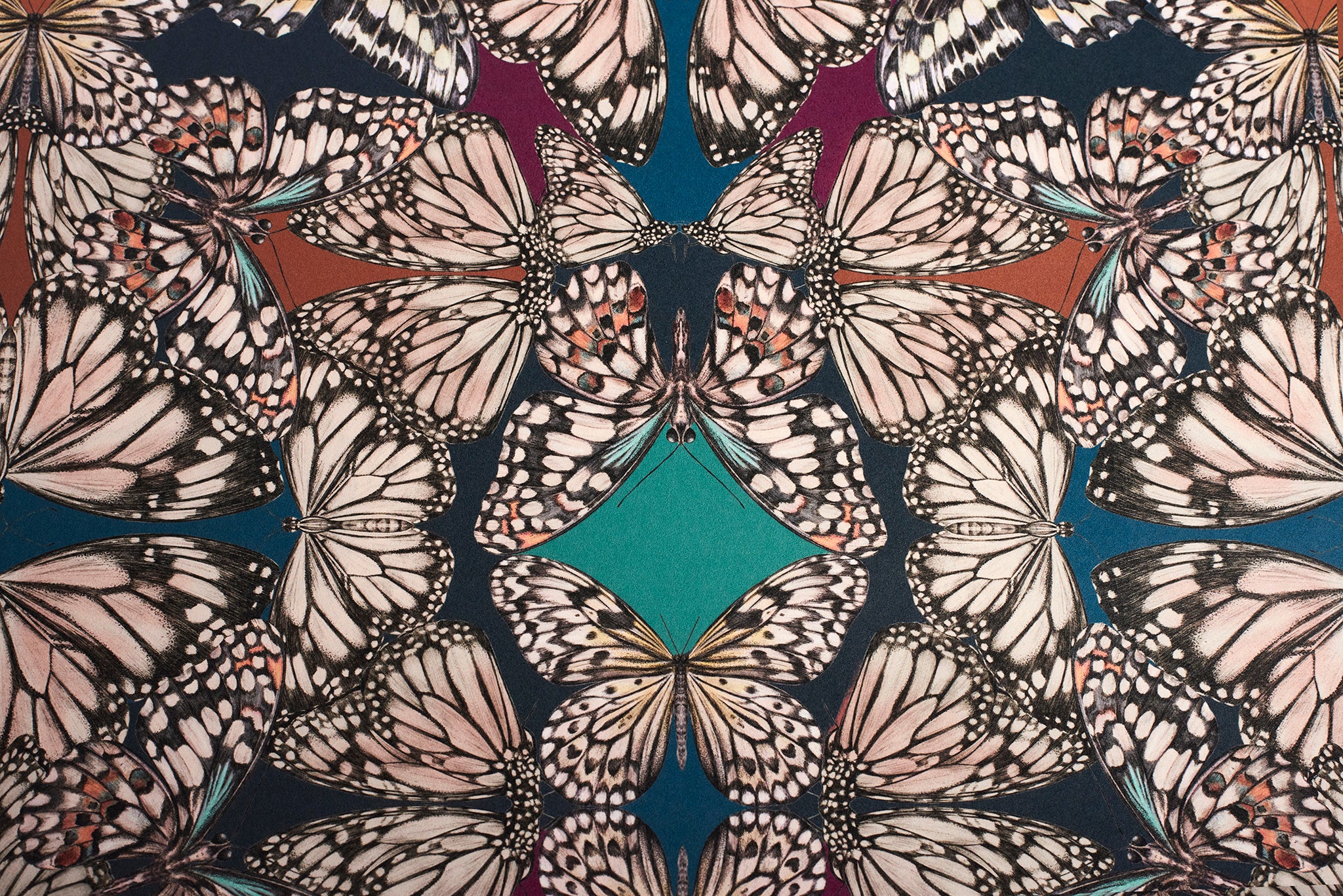 Papel pintado de la joya de Papilio