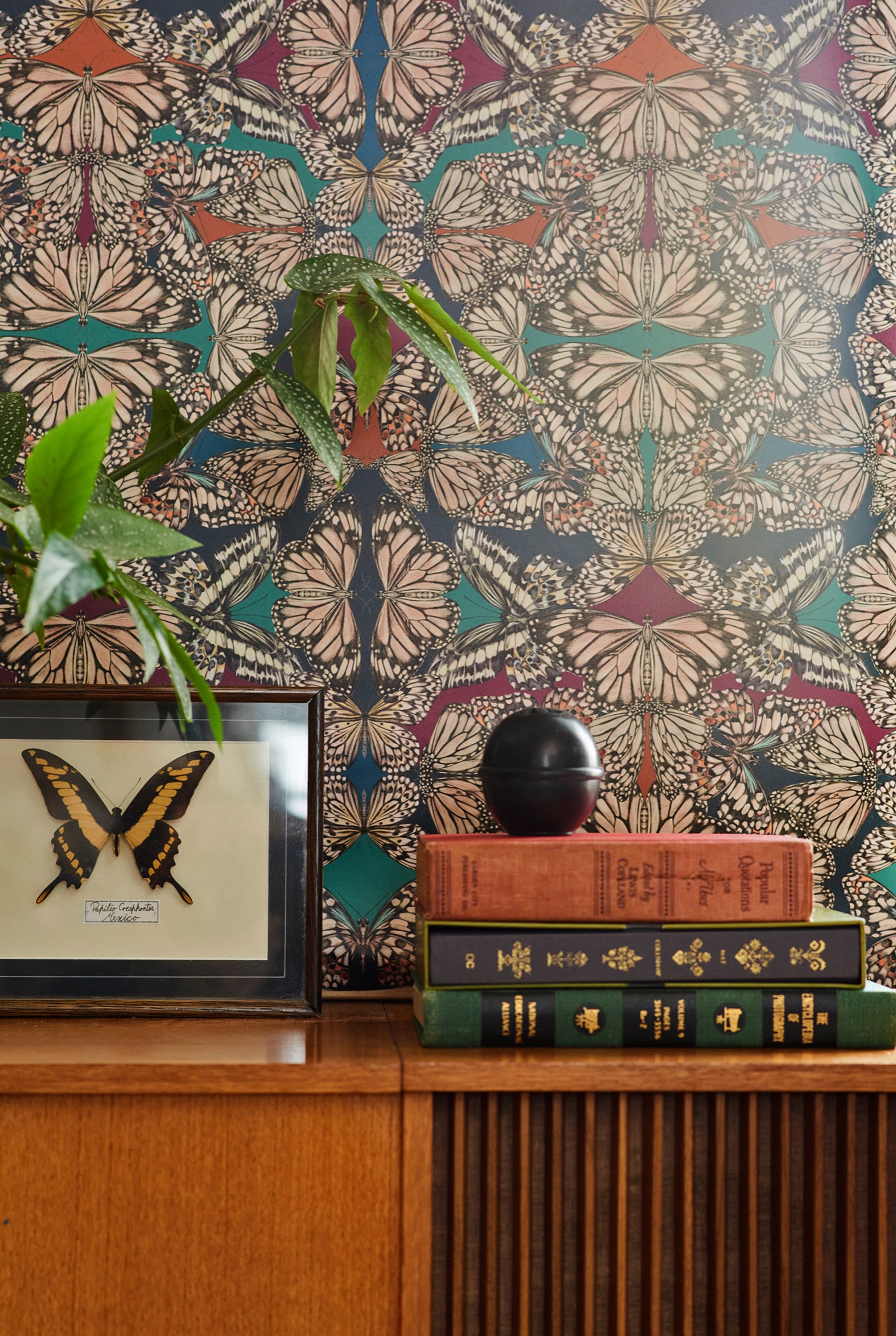 Papel pintado de la joya de Papilio