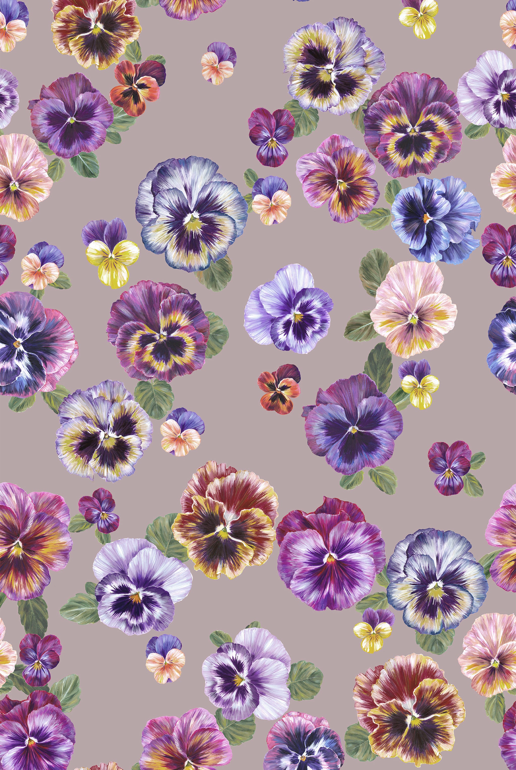 PLETHORA OF PANSIES Bruised Pink Wallpaper