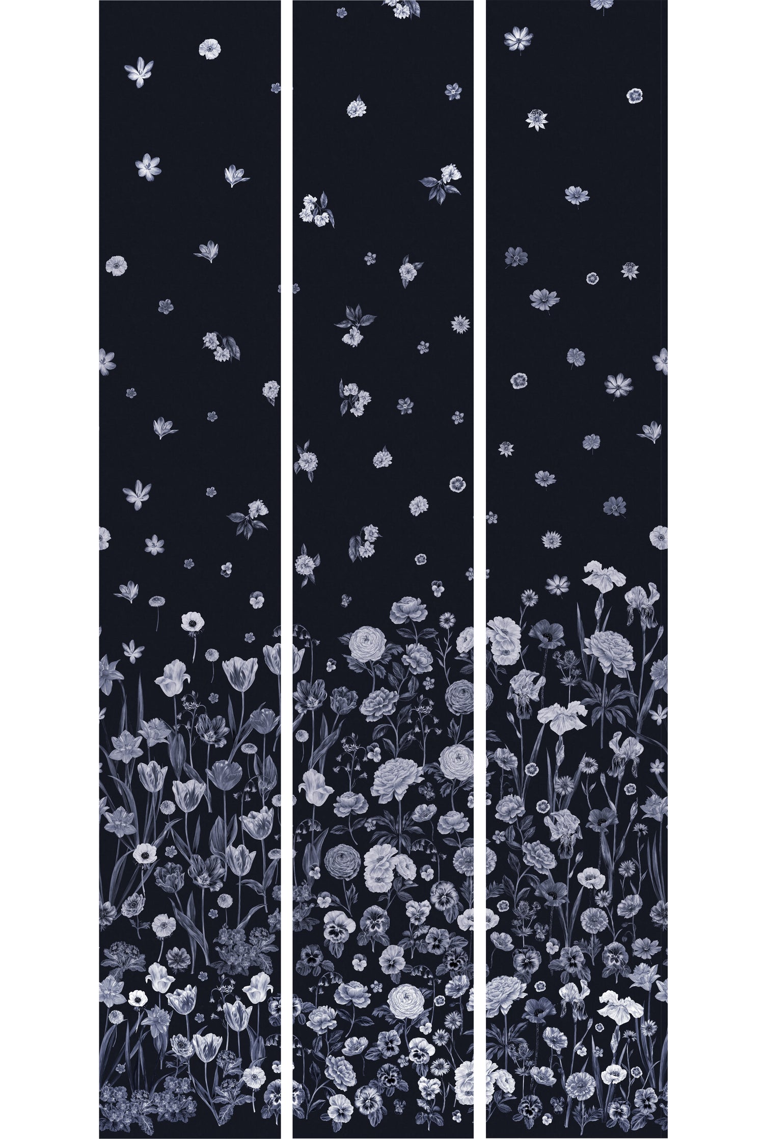 SEASONS IN BLOOM Iris Wallpaper
