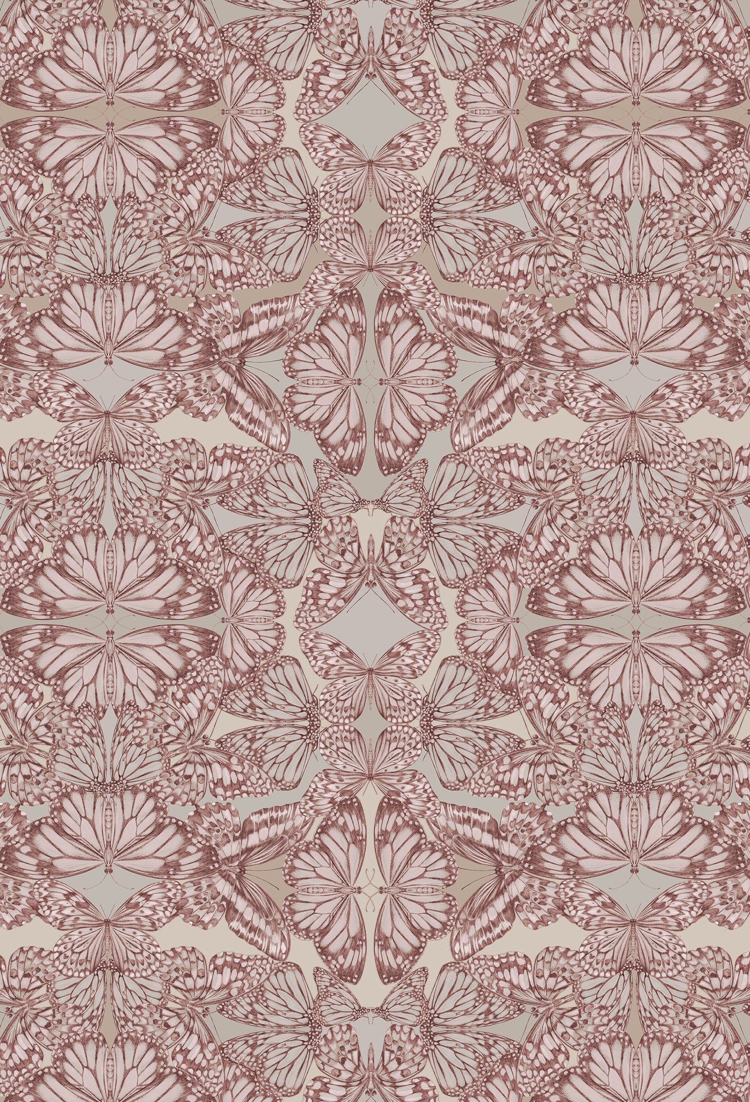 PAPILIO Rosa Wallpaper