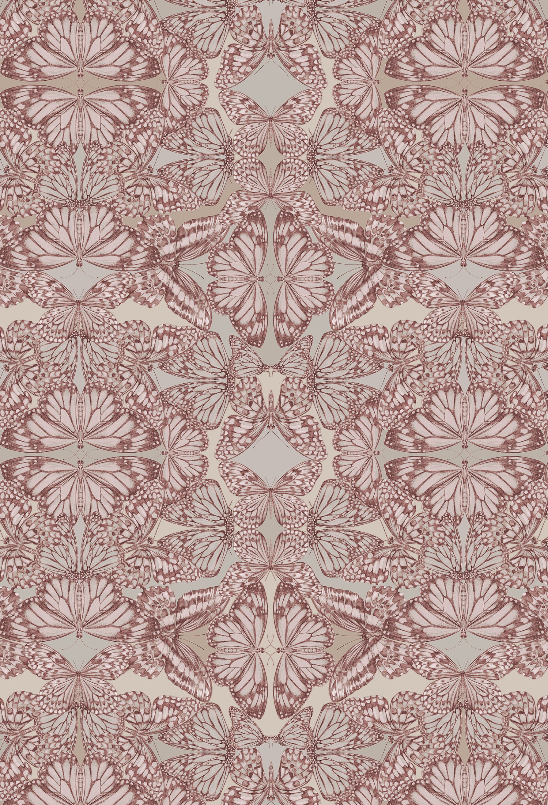 PAPILIO Rosa Wallpaper