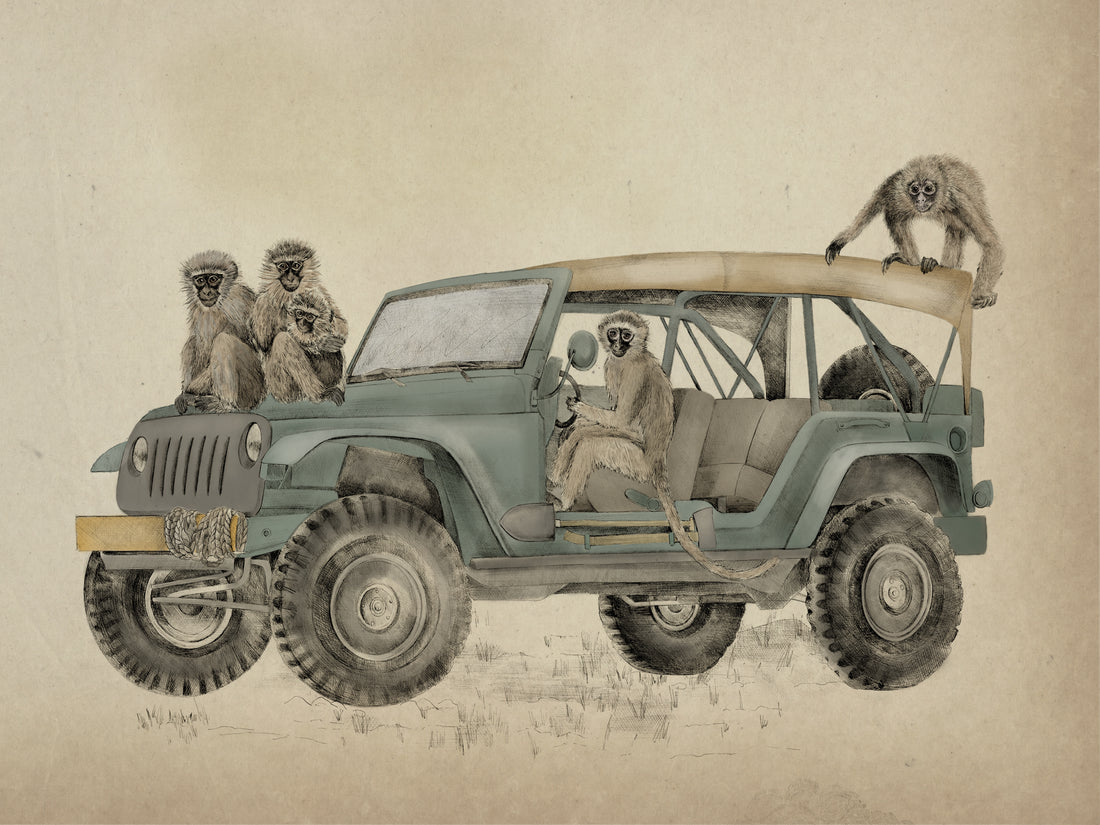 MONKEYS IN A JEEP Fine art print