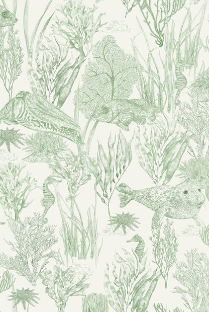 XV SEAVIEW MURAL Moss Green Wallpaper