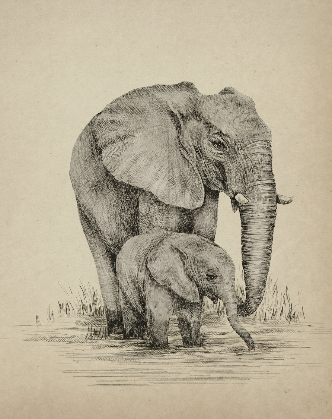 ESTHER & NIKO THE ELEPHANTS Fine art print