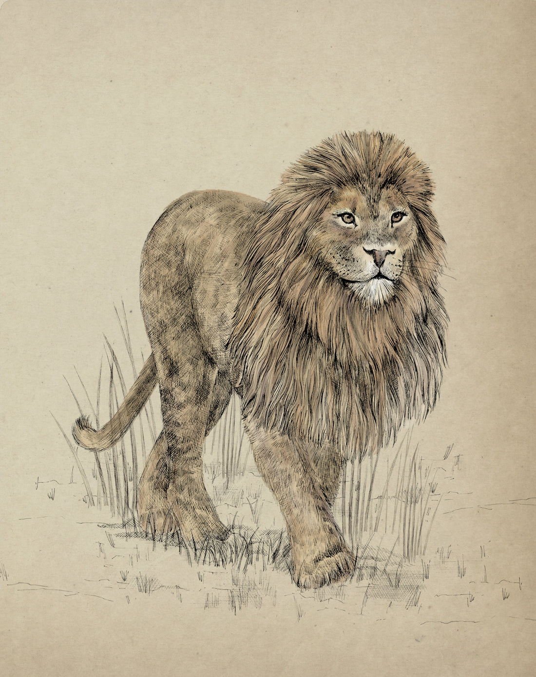 LEONARD THE LION Fine art print