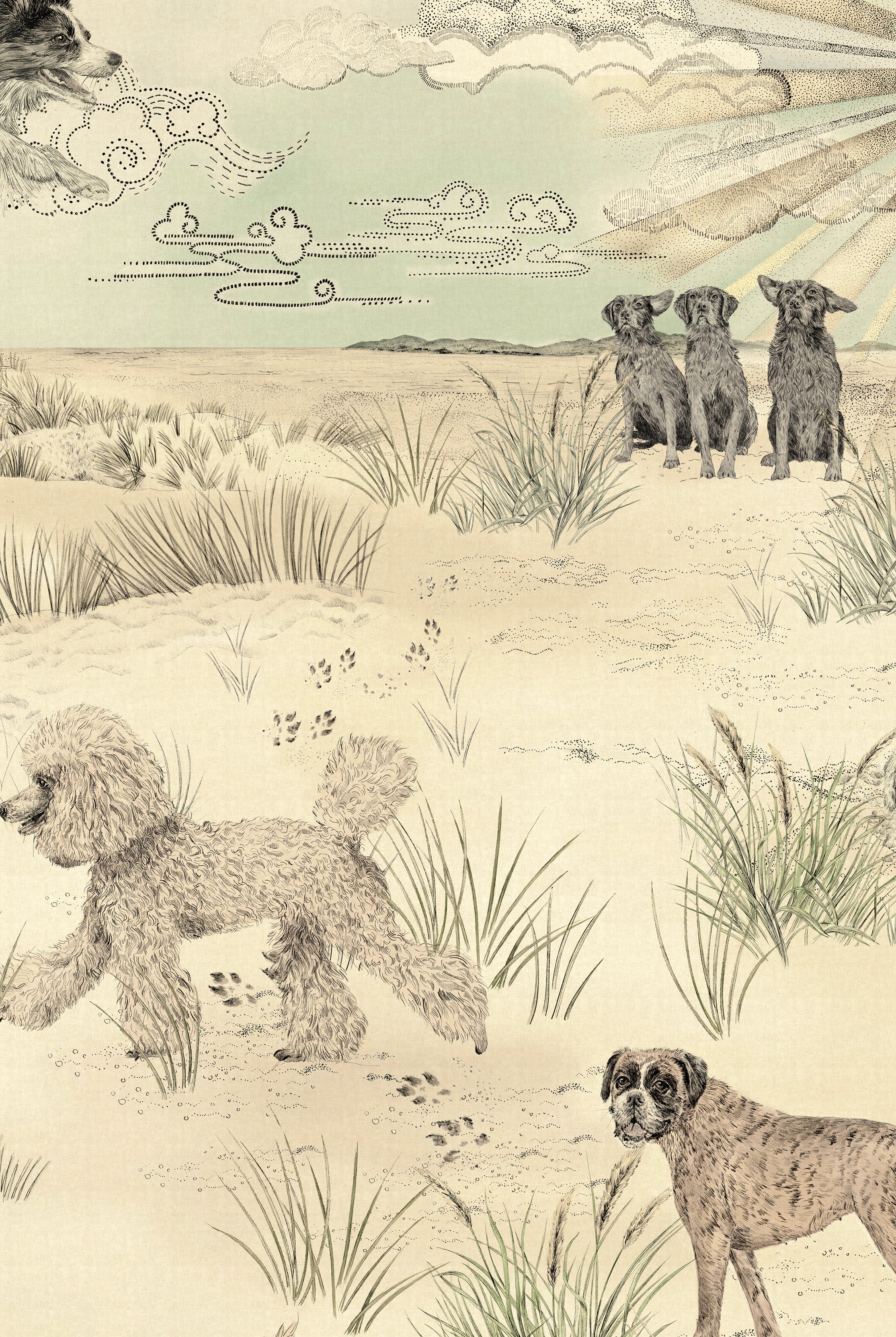 DOG TALES Storybook