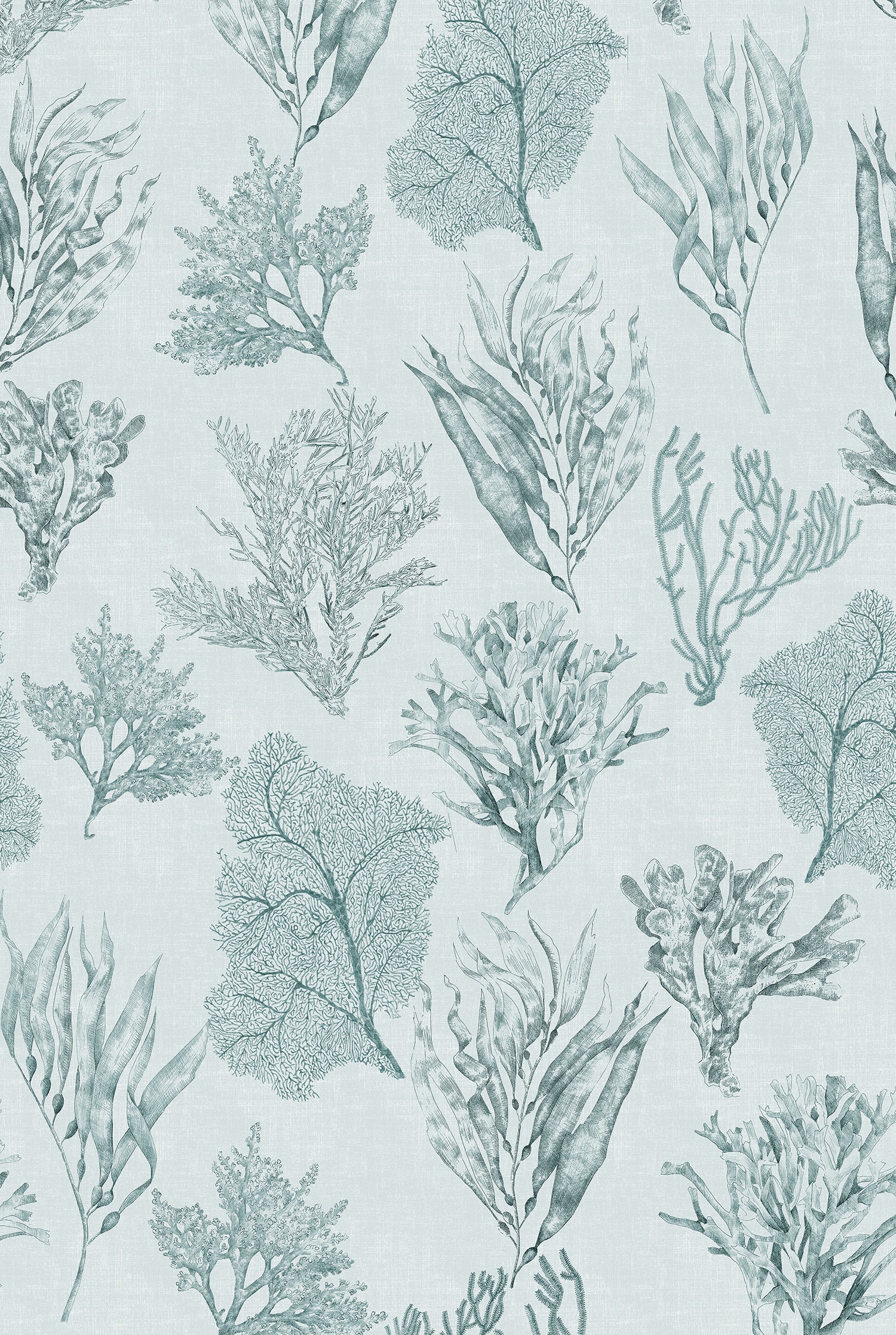 XV KELP FOREST Sea Clay Wallpaper