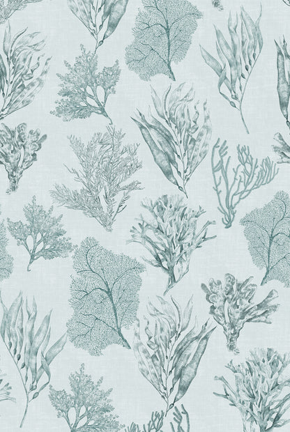 XV KELP FOREST Sea Clay Wallpaper