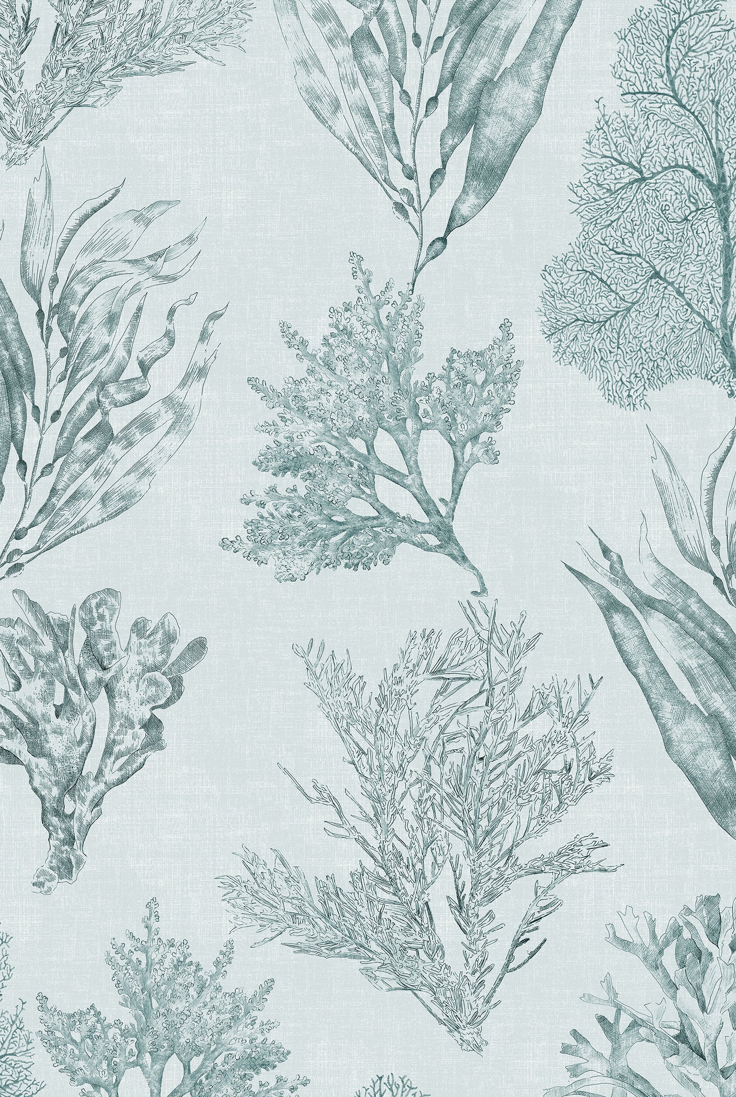 XV KELP FOREST Sea Clay Wallpaper