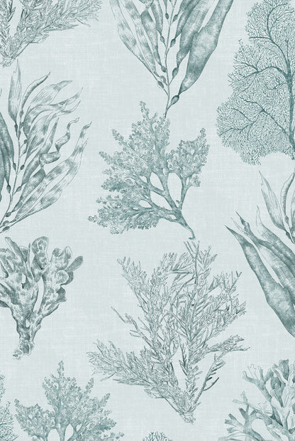 XV KELP FOREST Sea Clay Wallpaper