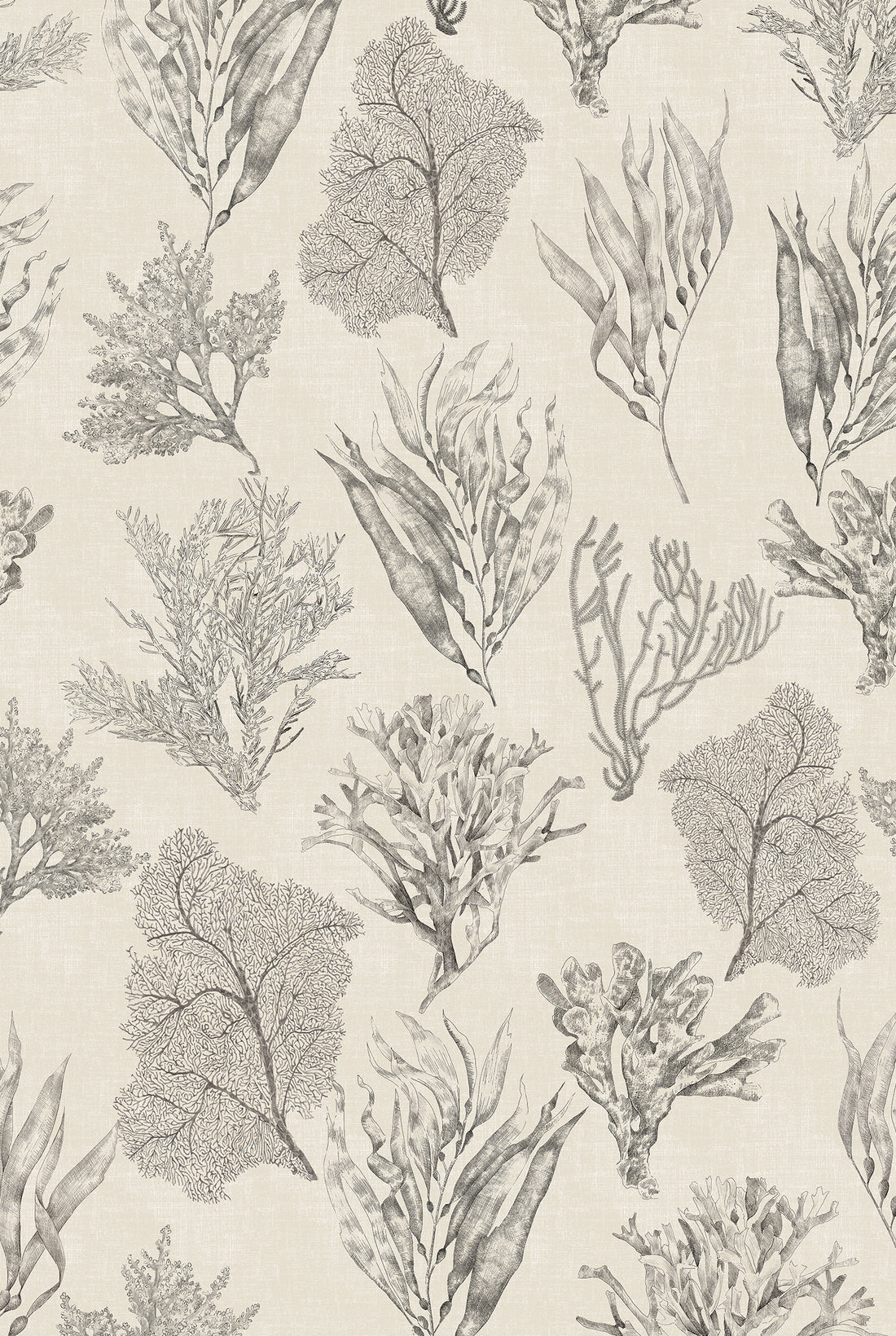 XV KELP FOREST Parchment Wallpaper