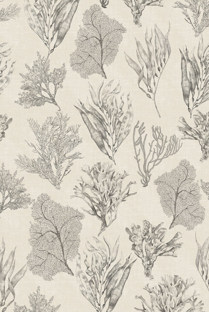 XV KELP FOREST Parchment Wallpaper