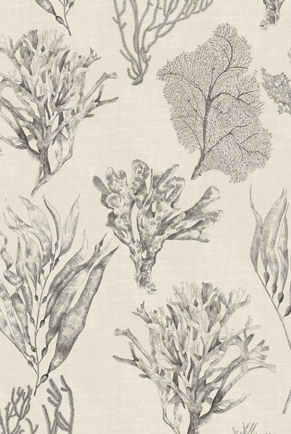 XV KELP FOREST Parchment Wallpaper