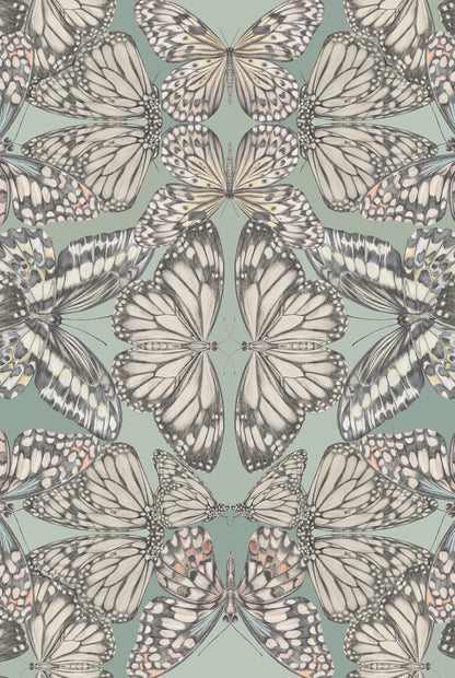 PAPILIO Eau De Nil Wallpaper