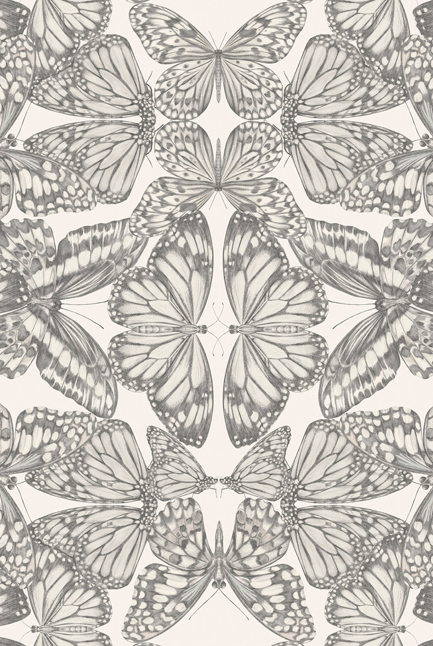 PAPILIO Parchment Wallpaper