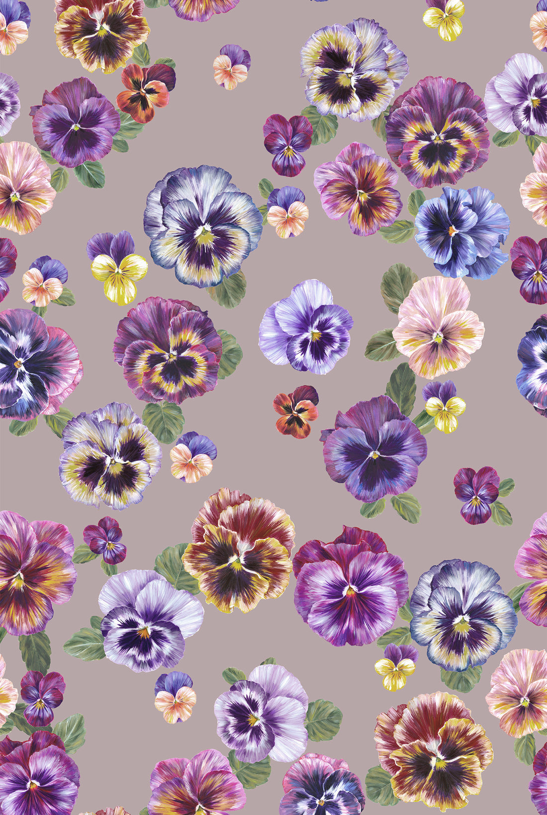 PLETHORA OF PANSIES Bruised Pink Wallpaper