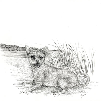 DOG TALES Egyptian Cotton