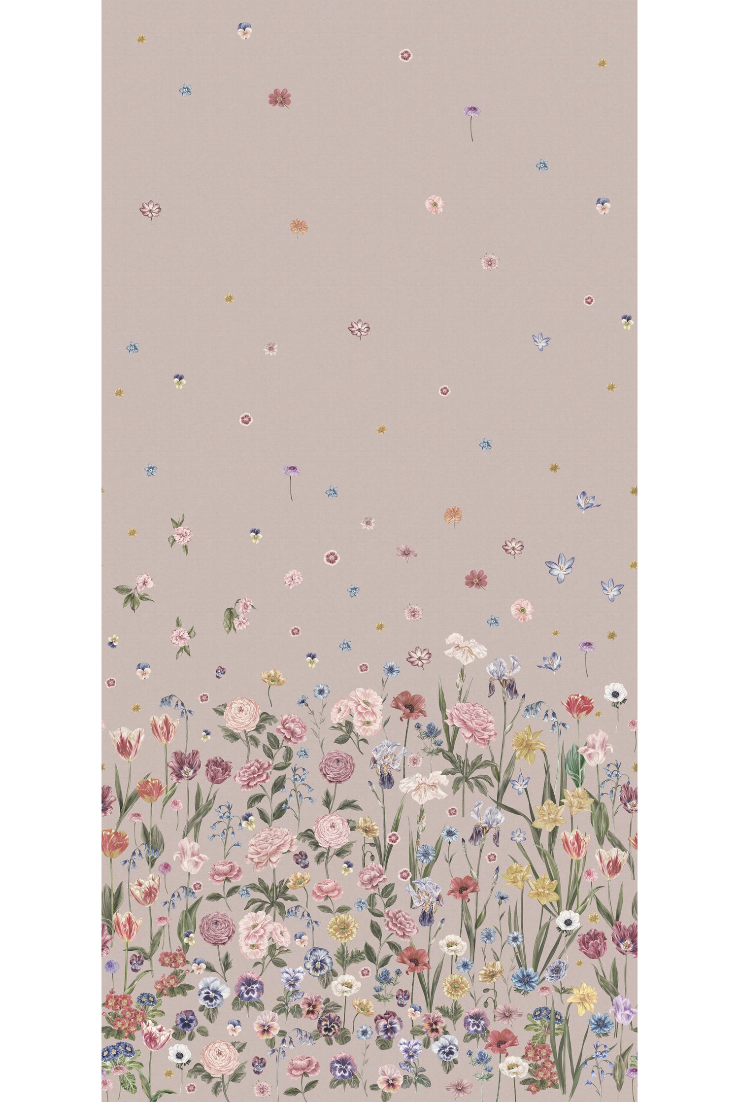 SEASONS IN BLOOM Pretty in Pink Wallpaper