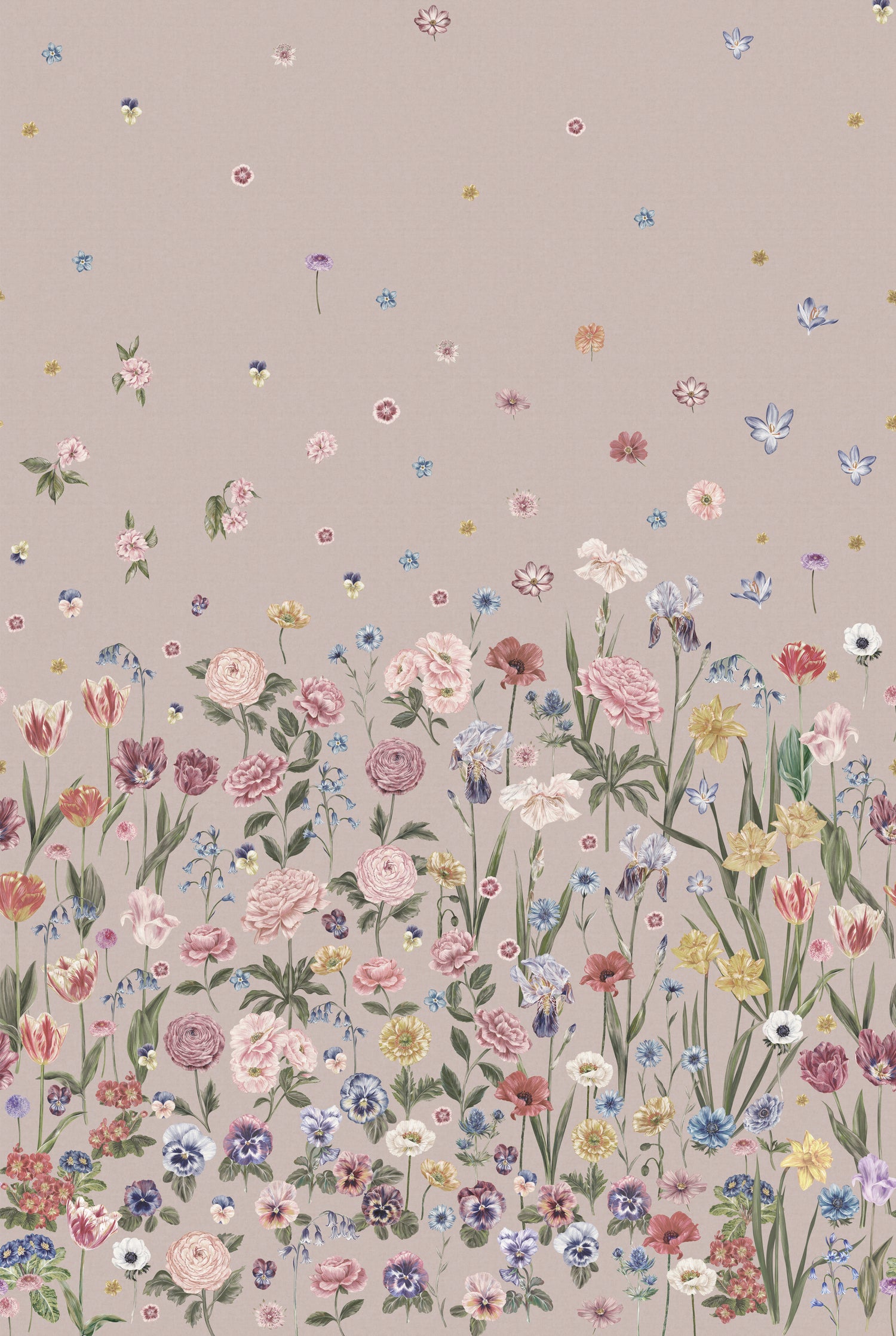 SEASONS IN BLOOM Pretty in Pink Wallpaper