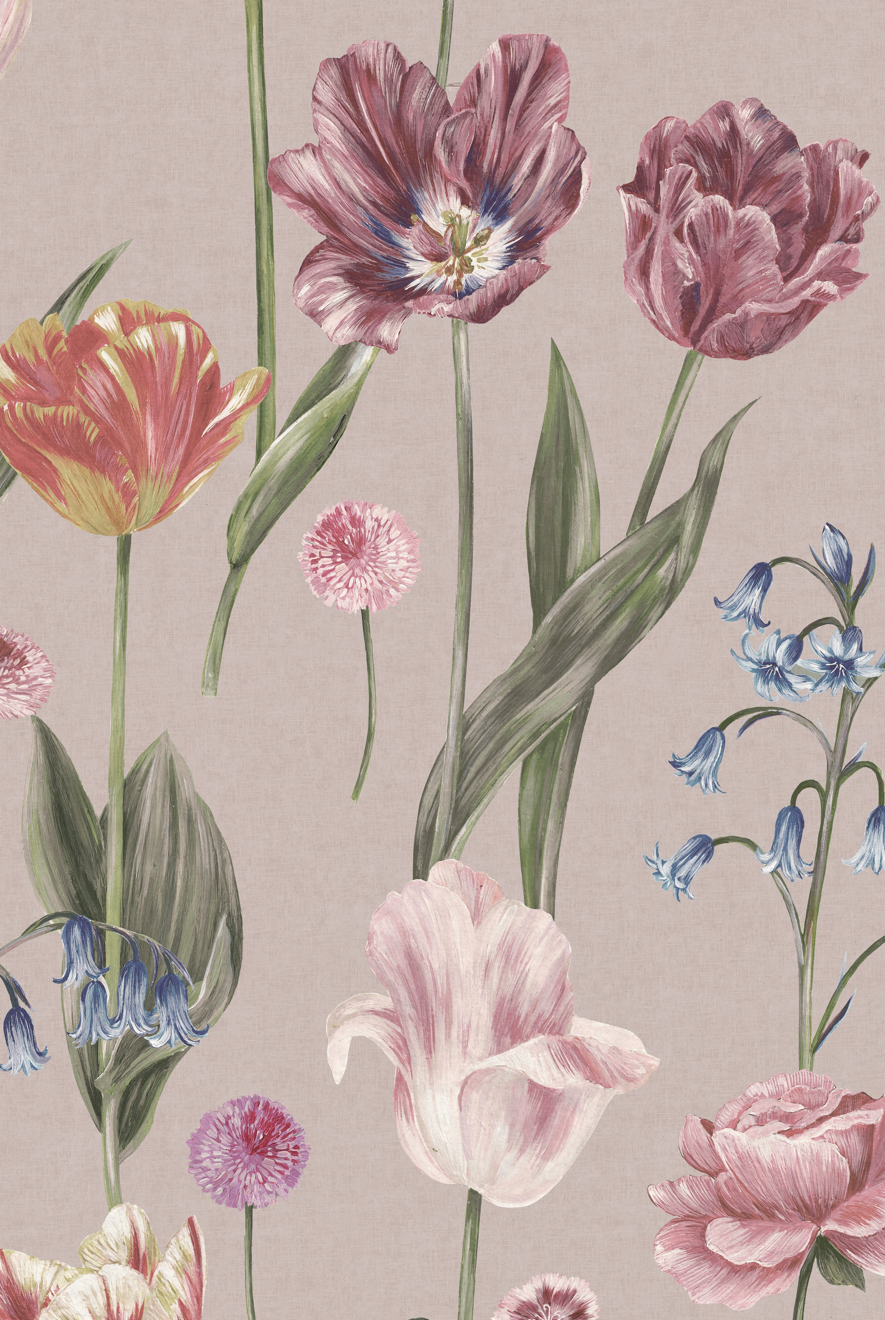 SEASONS IN BLOOM Pretty in Pink Wallpaper