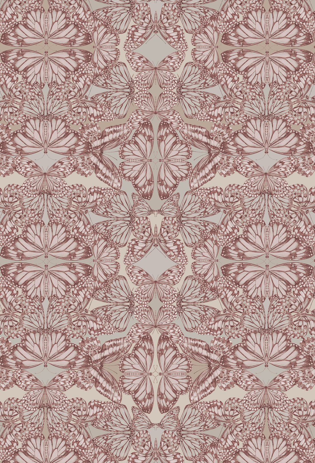 PAPILIO Rosa Wallpaper